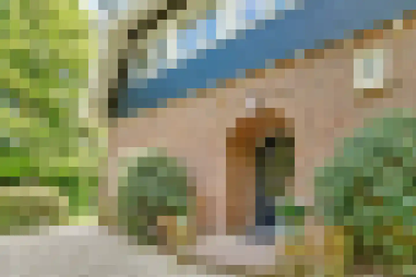 Beethovenlaan 22 Bilthoven thumbnail 10