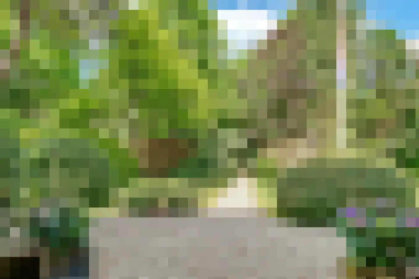 Beethovenlaan 22 Bilthoven thumbnail 11