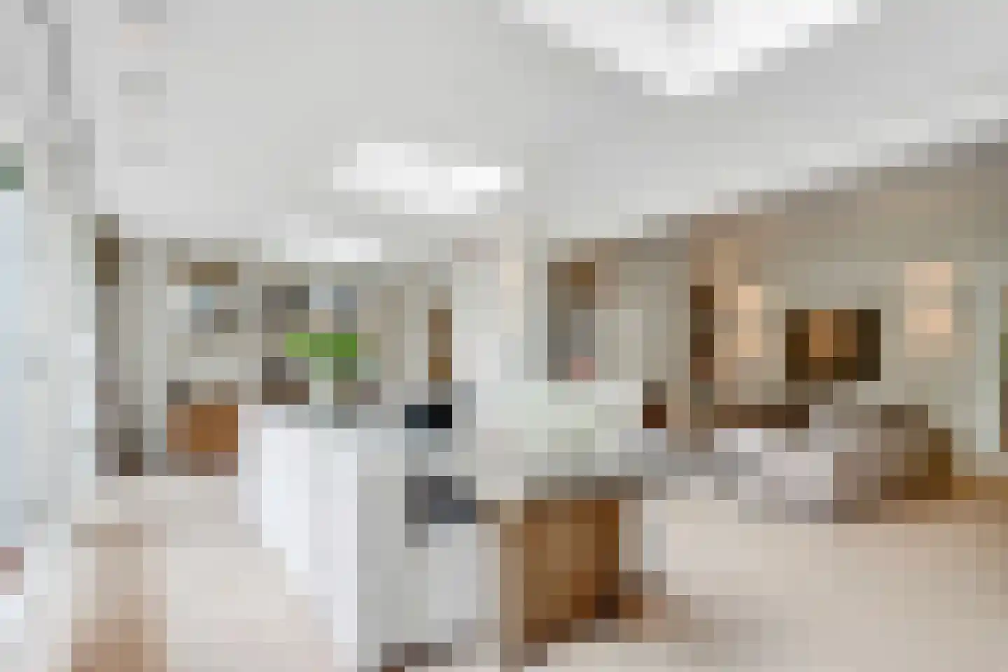 Beethovenlaan 22 Bilthoven thumbnail 21