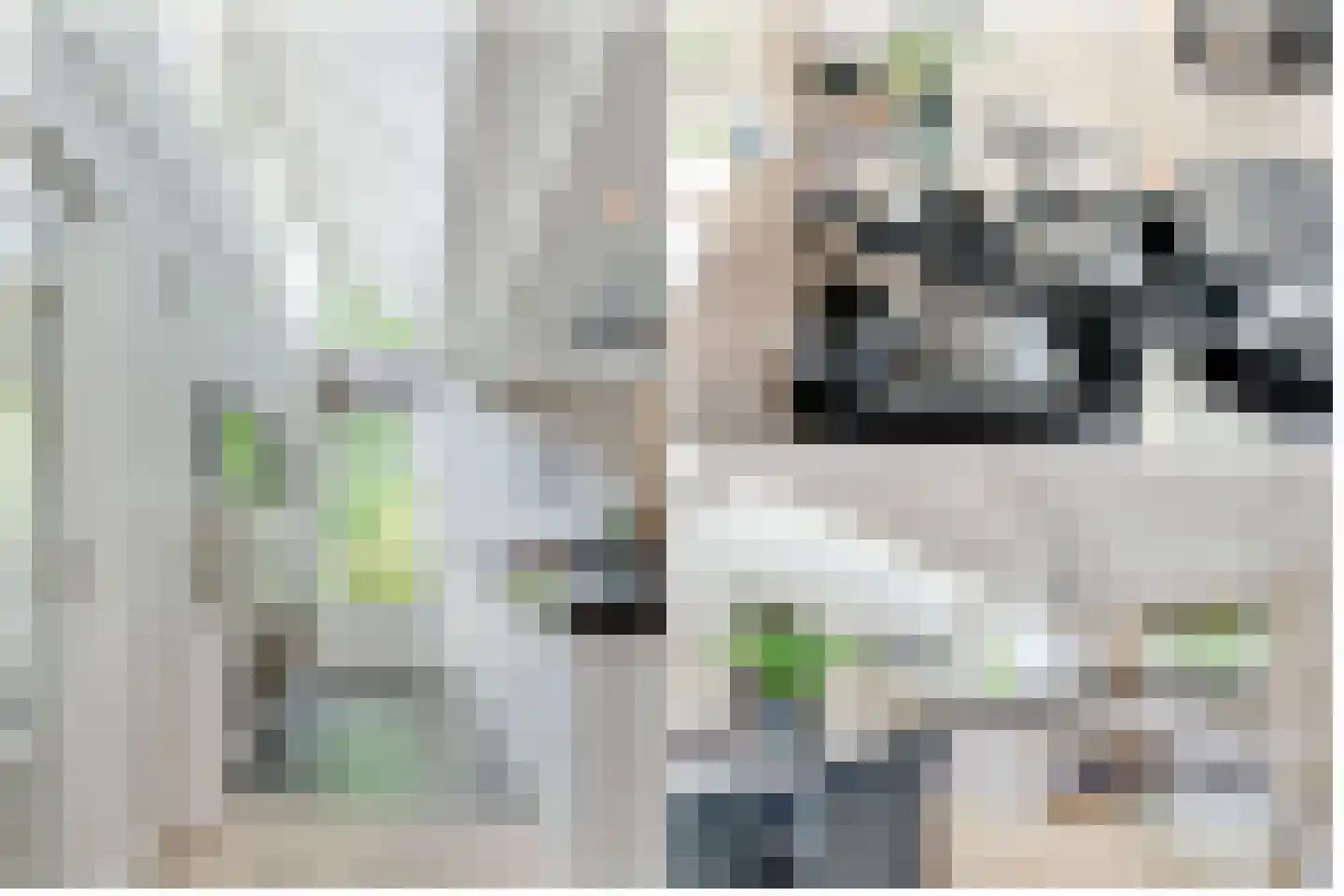 Beethovenlaan 22 Bilthoven thumbnail 31