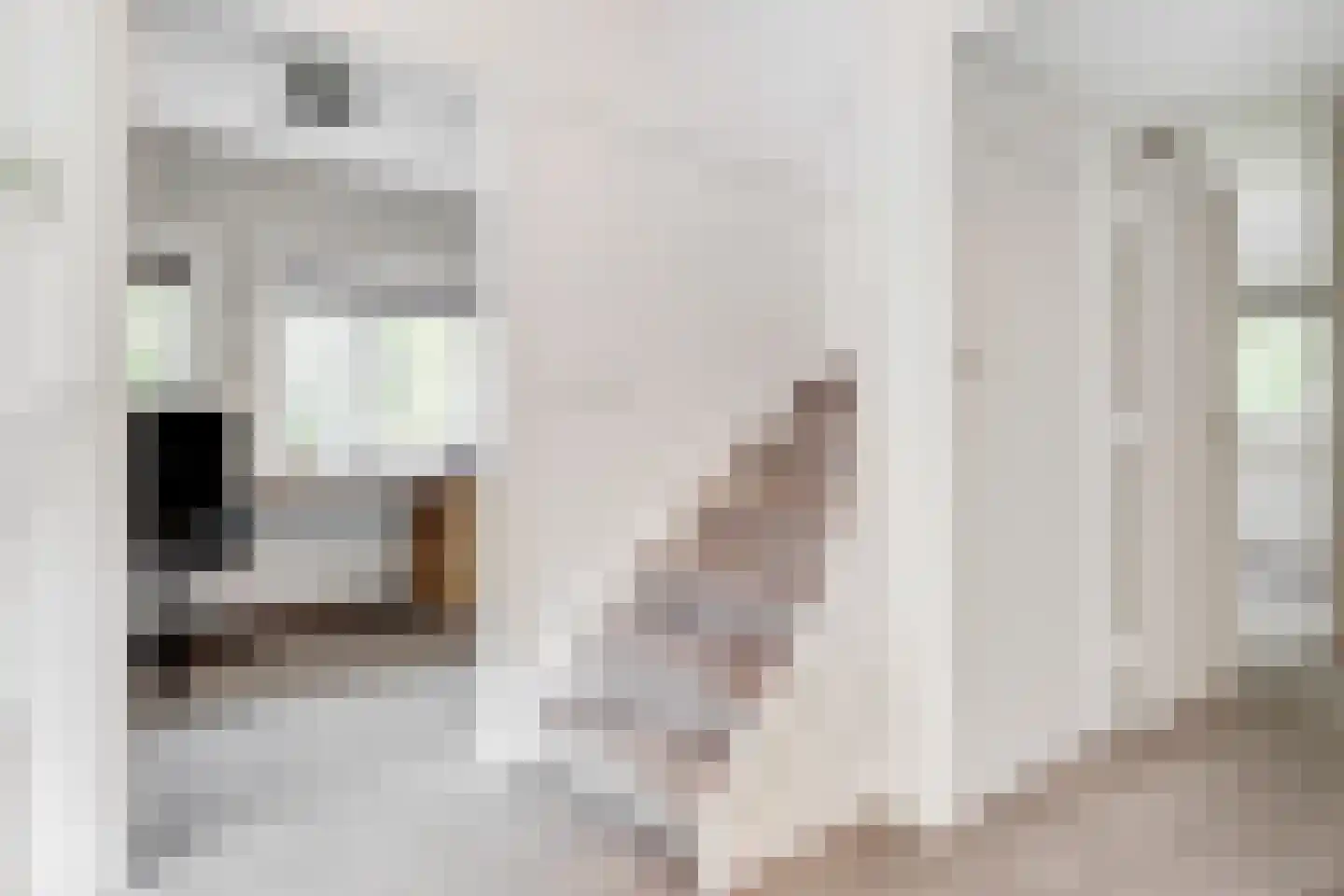 Beethovenlaan 22 Bilthoven thumbnail 46