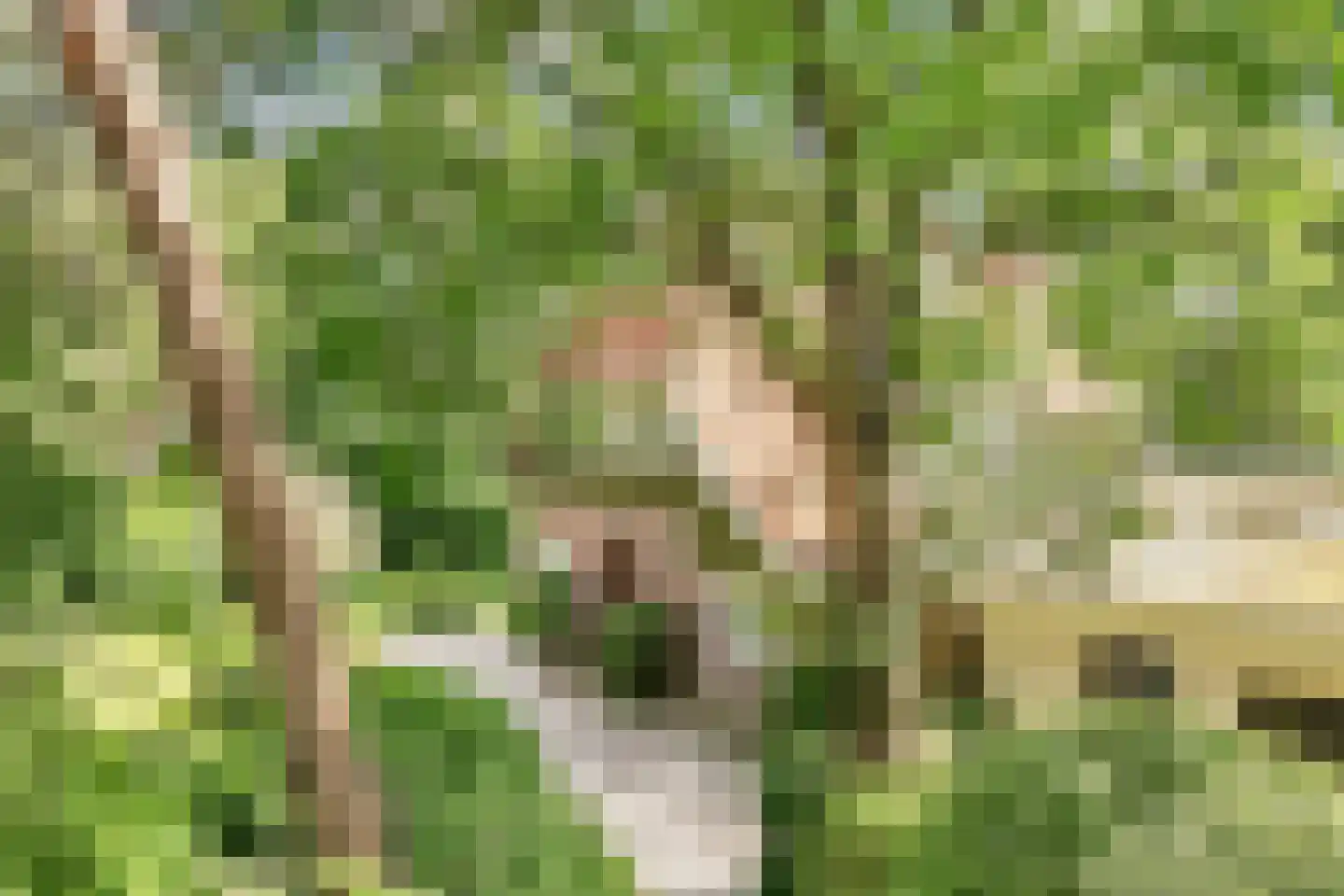 Beethovenlaan 22 Bilthoven thumbnail 5