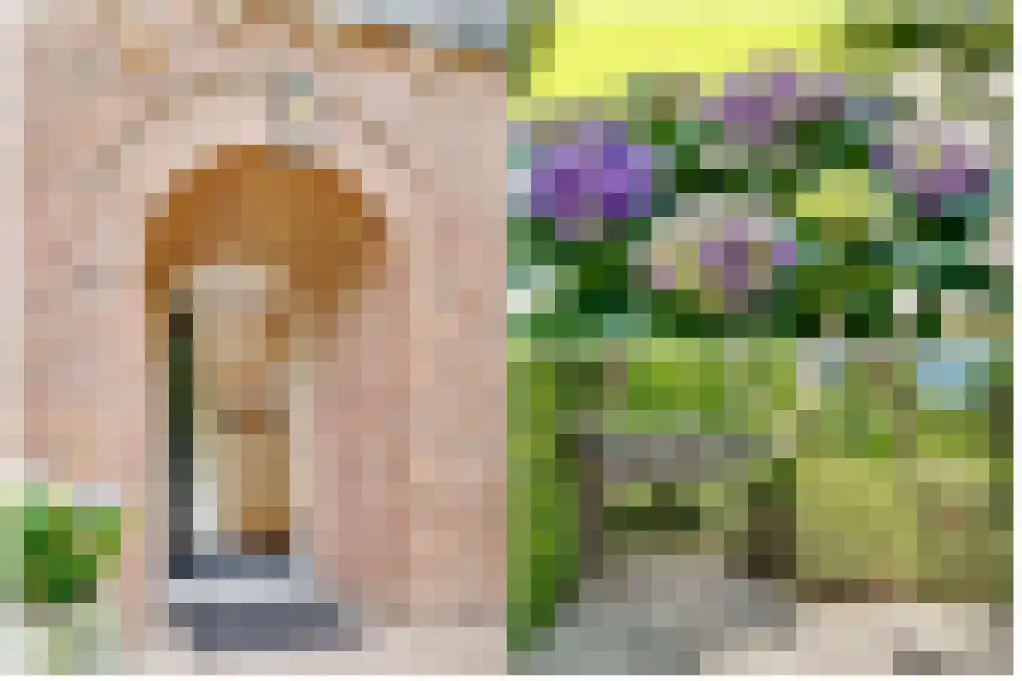 Beethovenlaan 22 Bilthoven thumbnail 5