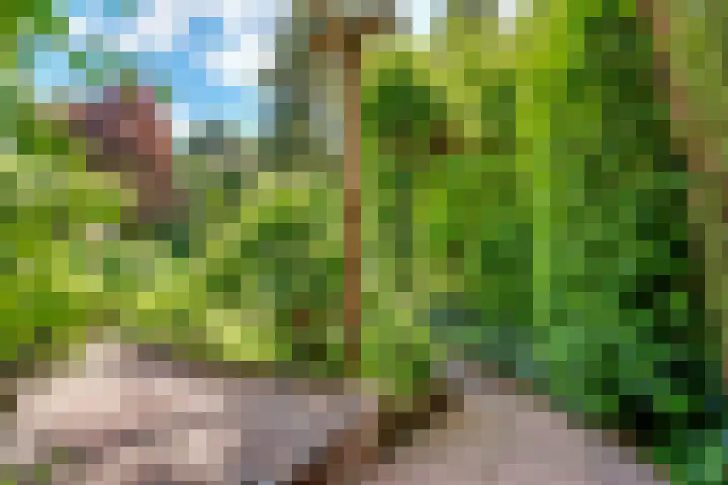 Beethovenlaan 22 Bilthoven thumbnail 50