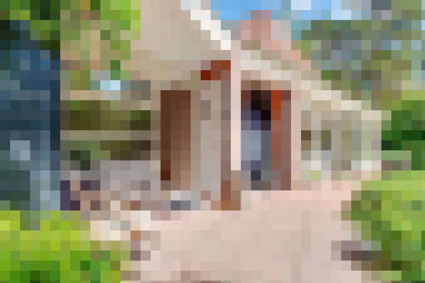 Beethovenlaan 22 Bilthoven thumbnail 51
