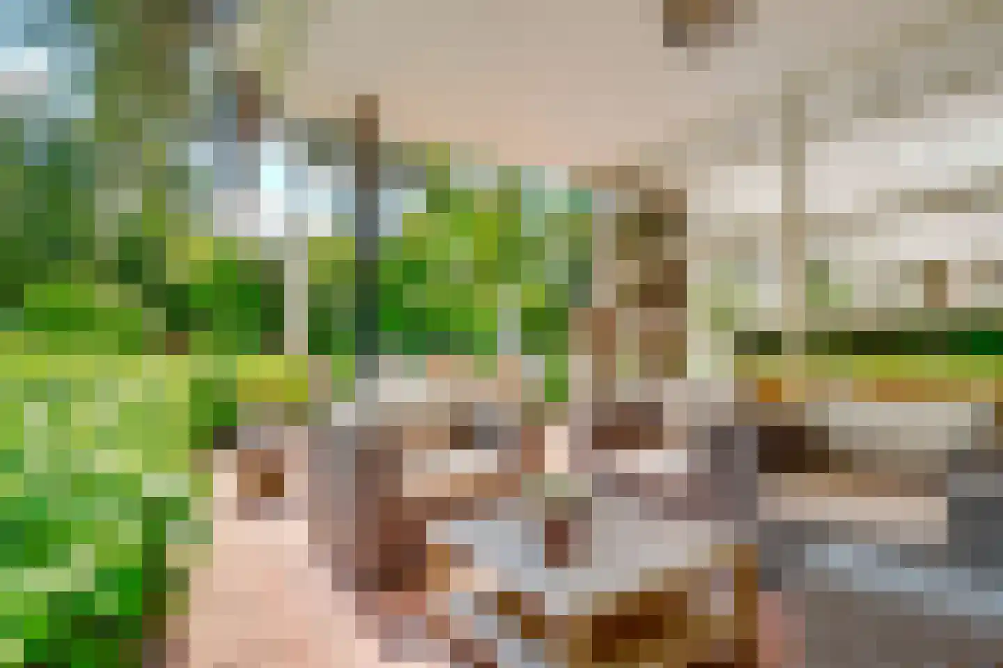 Beethovenlaan 22 Bilthoven thumbnail 57