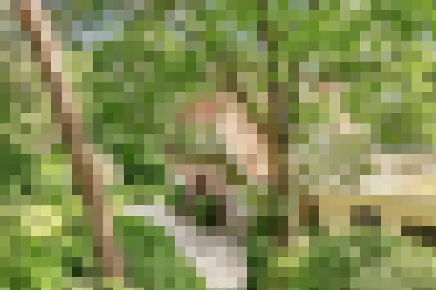 Beethovenlaan 22 Bilthoven thumbnail 6