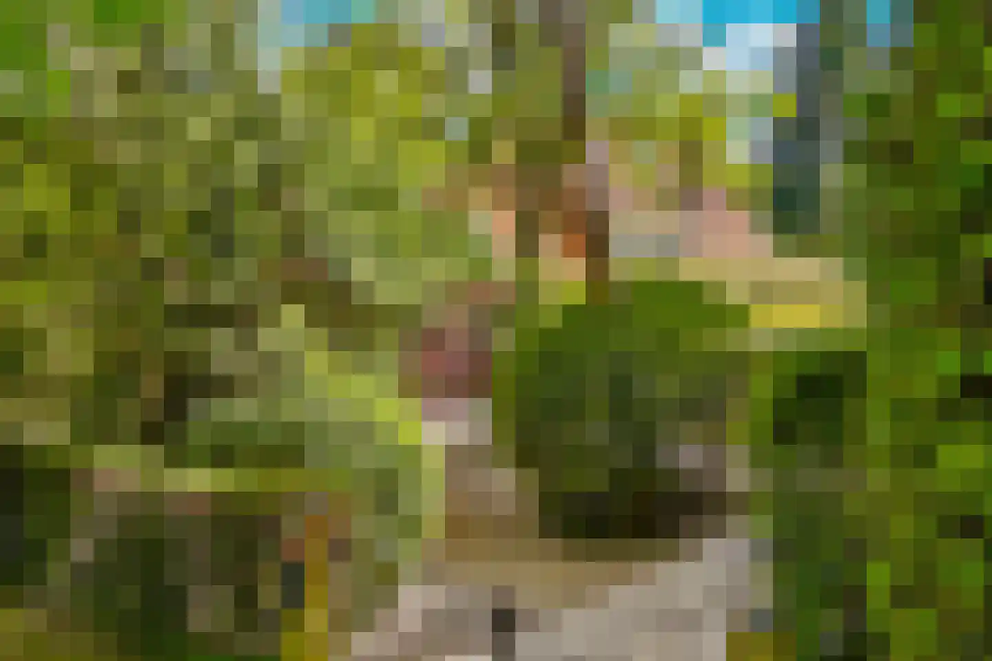 Beethovenlaan 22 Bilthoven thumbnail 62