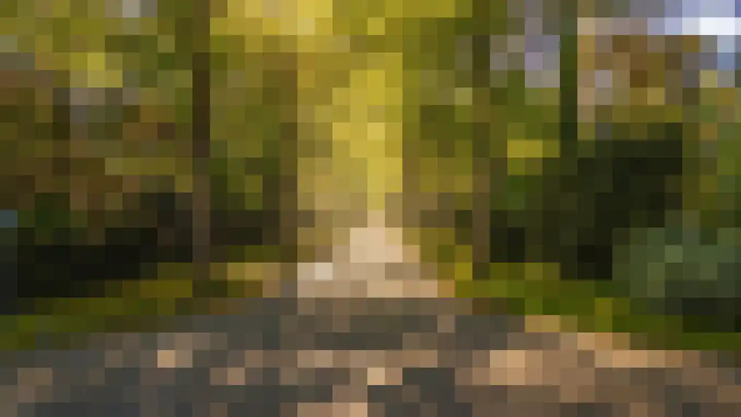 Beethovenlaan 22 Bilthoven thumbnail 67