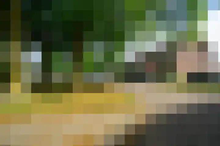 Beethovenlaan 22 Deurne thumbnail 34