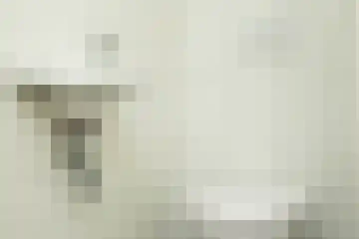 Beethovenlaan 22 Deurne thumbnail 4