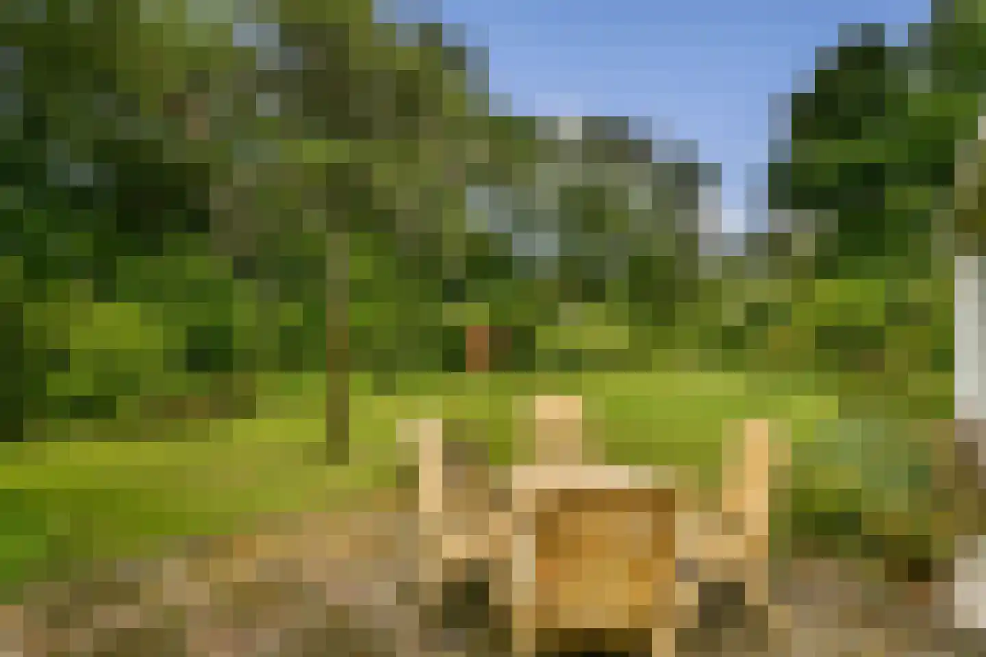 Beethovenlaan 22 Hilversum thumbnail 14