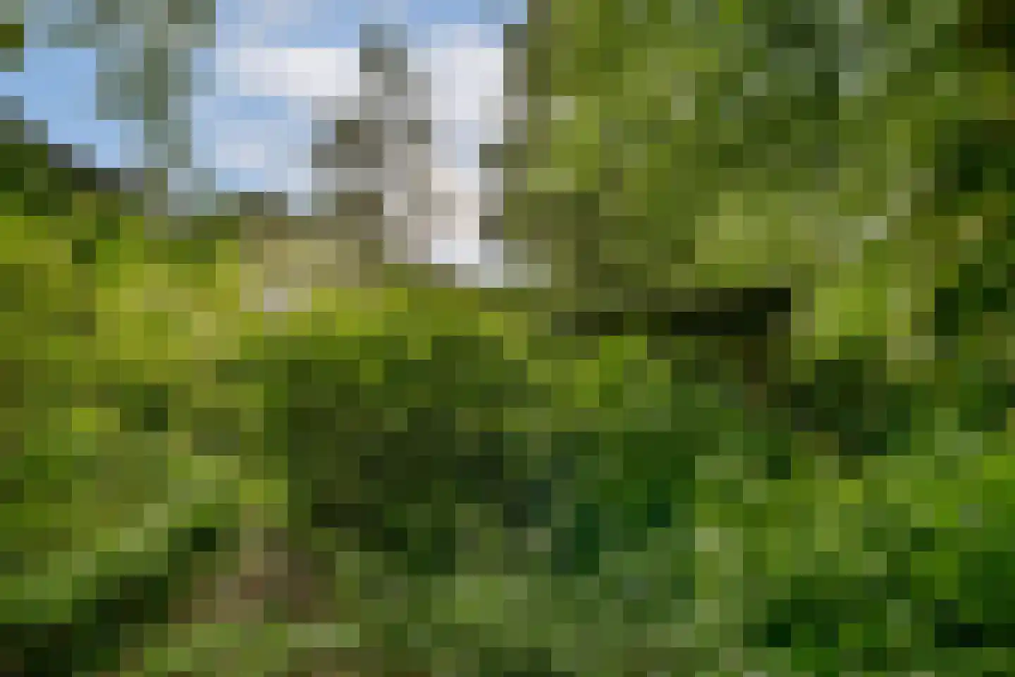 Beethovenlaan 22 Hilversum thumbnail 25
