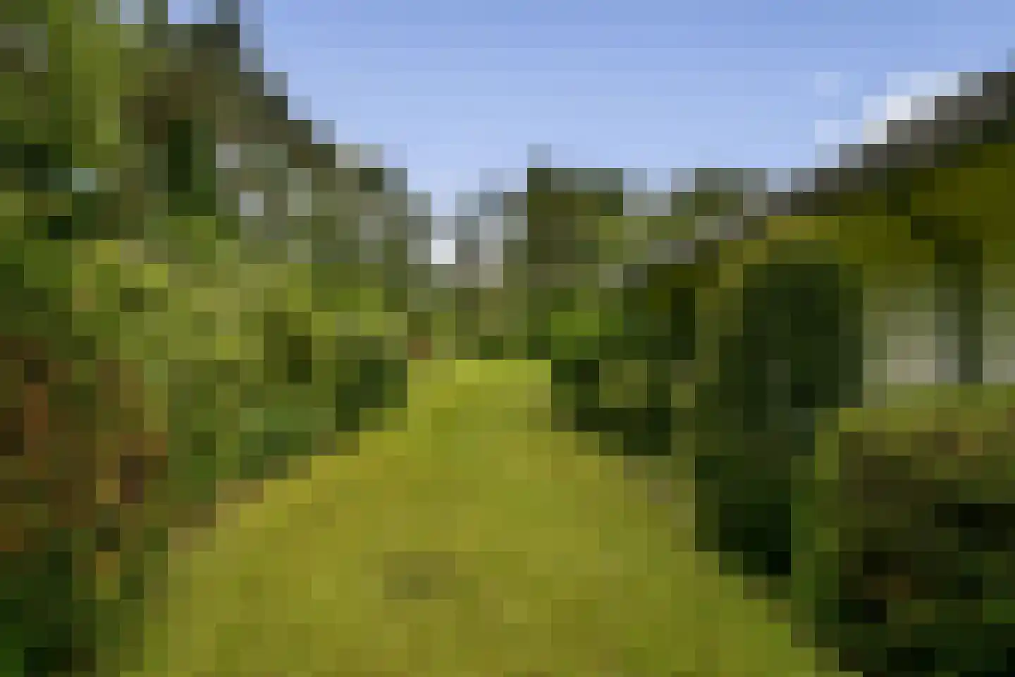 Beethovenlaan 22 Hilversum thumbnail 26