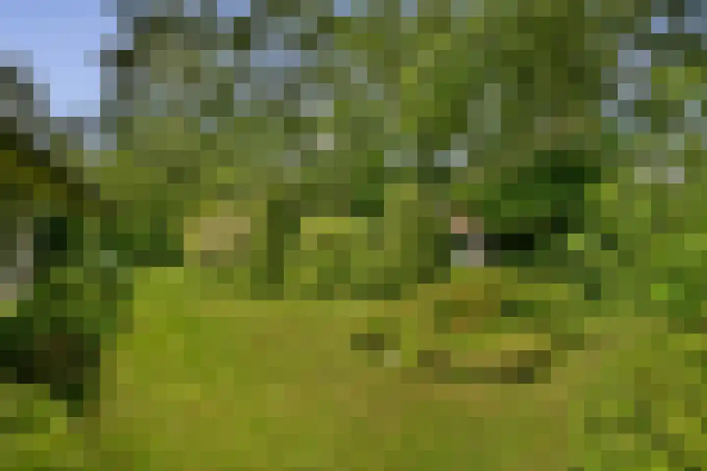 Beethovenlaan 22 Hilversum thumbnail 28