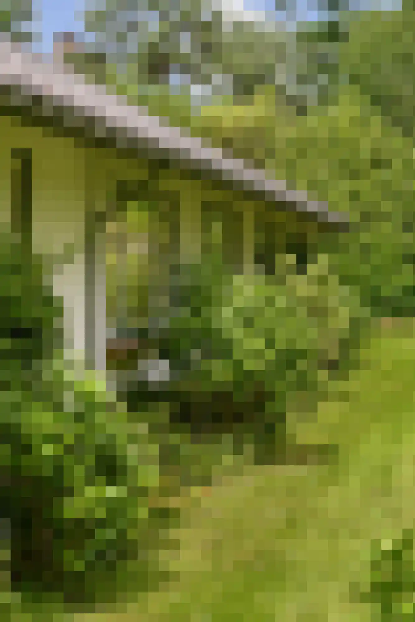 Beethovenlaan 22 Hilversum thumbnail 31