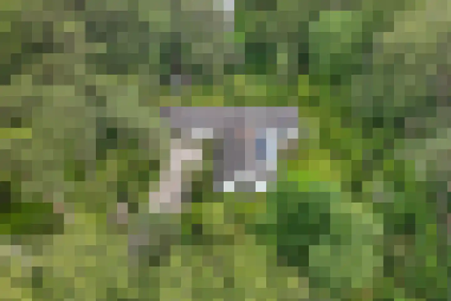 Beethovenlaan 22 Hilversum thumbnail 37