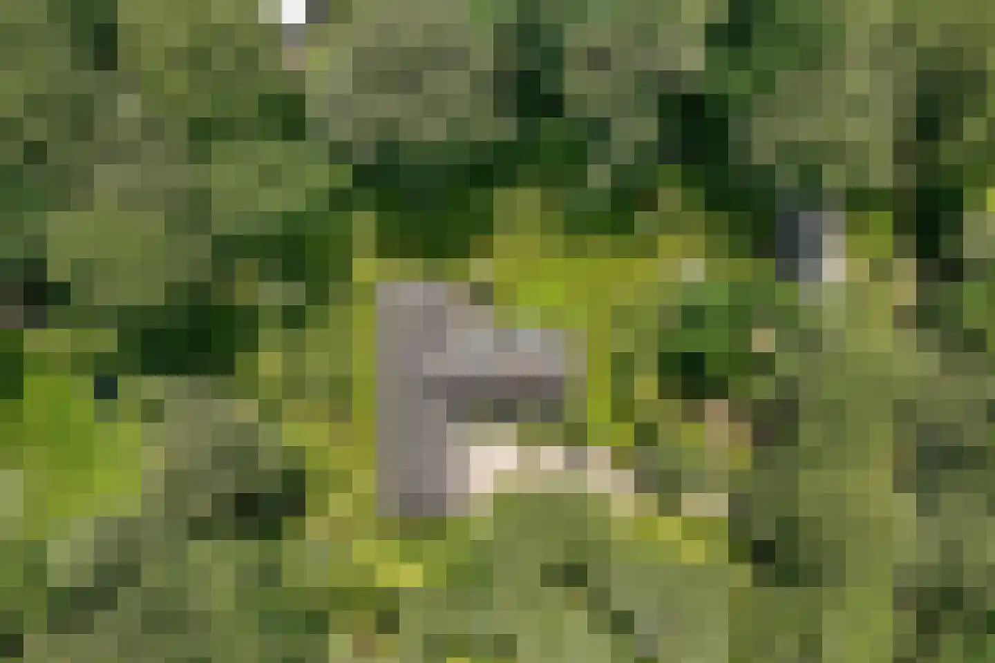 Beethovenlaan 22 Hilversum thumbnail 41