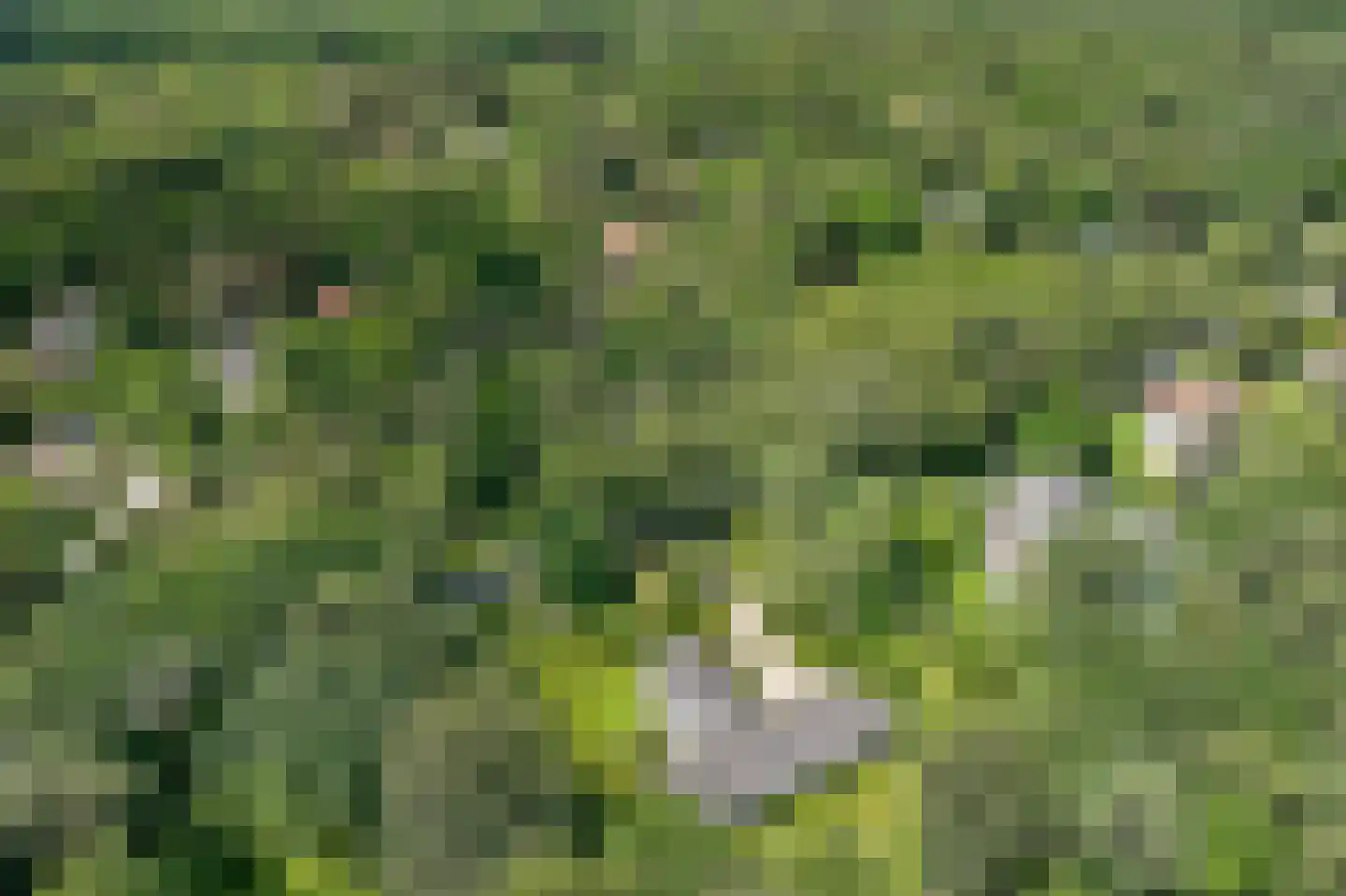 Beethovenlaan 22 Hilversum thumbnail 42