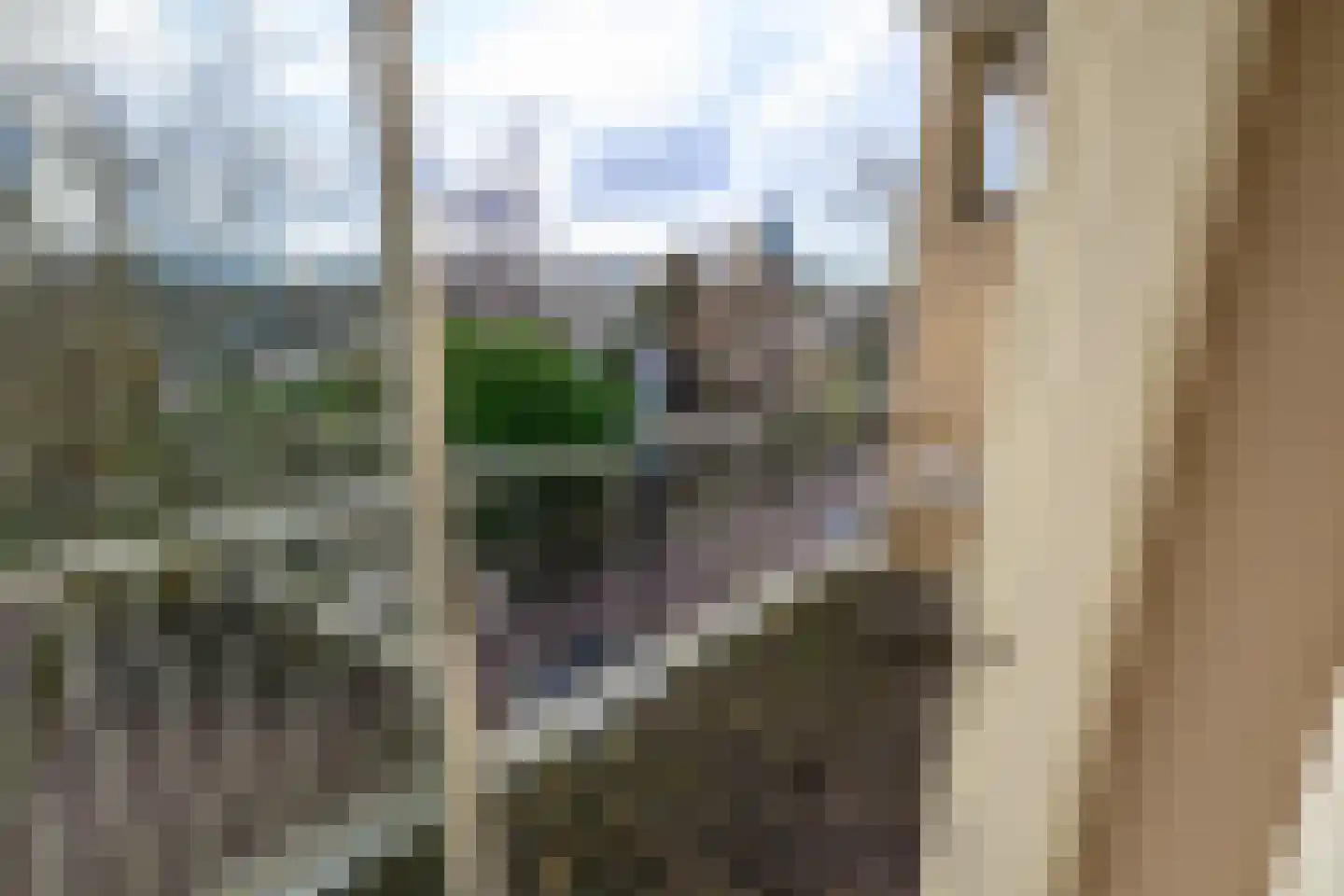 Beethovenlaan 22 Leidschendam thumbnail 14