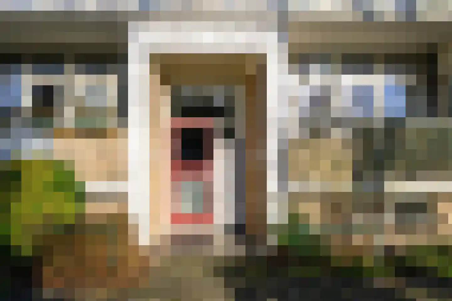 Beethovenlaan 22 Leidschendam thumbnail 6