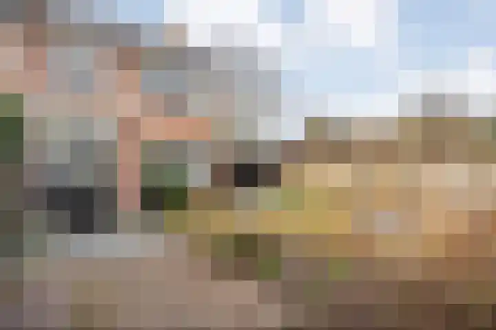 Beethovenlaan 220 Nijverdal thumbnail 25