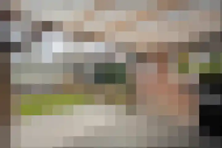 Beethovenlaan 220 Nijverdal thumbnail 31
