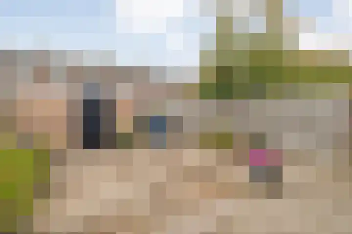 Beethovenlaan 225 Zwolle thumbnail 19