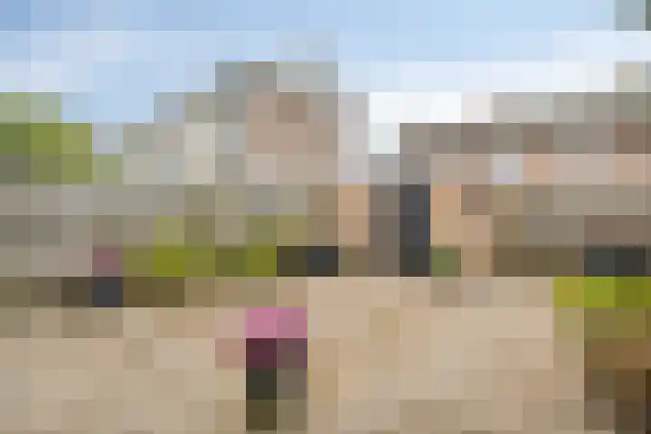 Beethovenlaan 225 Zwolle thumbnail 20