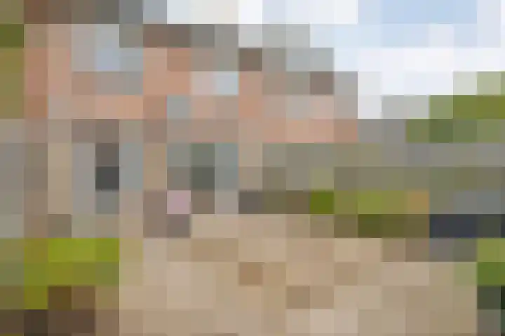 Beethovenlaan 225 Zwolle thumbnail 21
