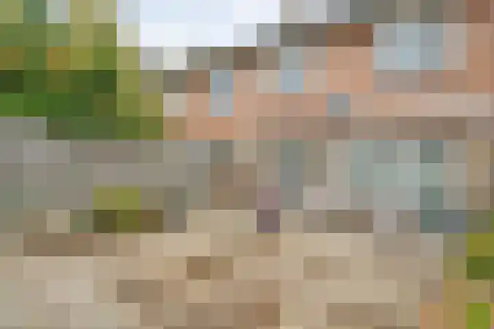 Beethovenlaan 225 Zwolle thumbnail 22
