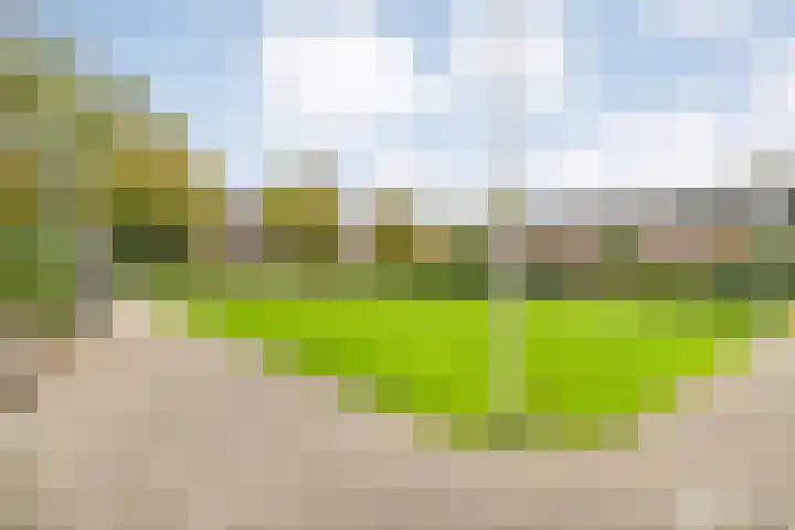 Beethovenlaan 225 Zwolle thumbnail 23