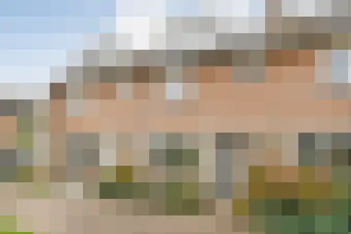 Beethovenlaan 225 Zwolle thumbnail 24