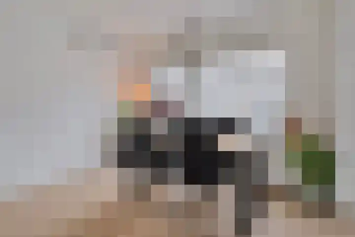 Beethovenlaan 225 Zwolle thumbnail 5