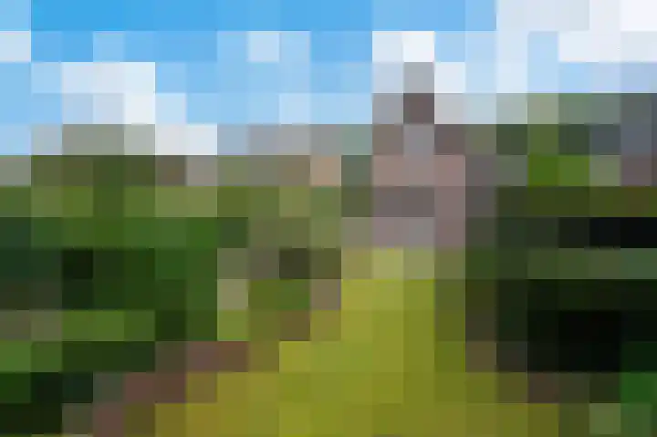 Beethovenlaan 24 Apeldoorn thumbnail 25