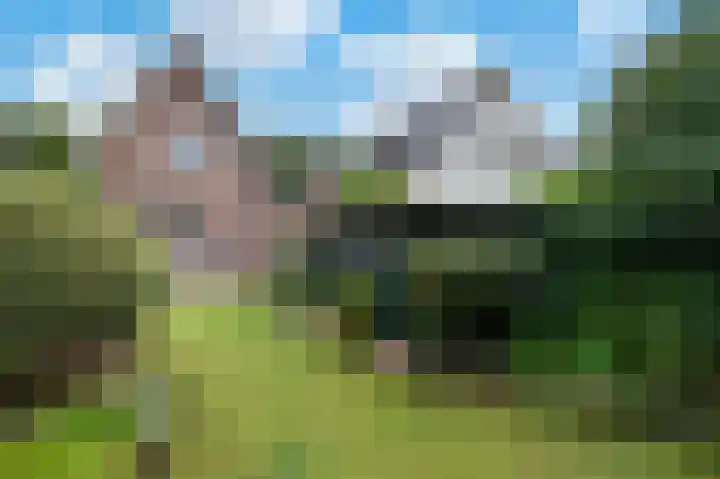 Beethovenlaan 24 Apeldoorn thumbnail 26