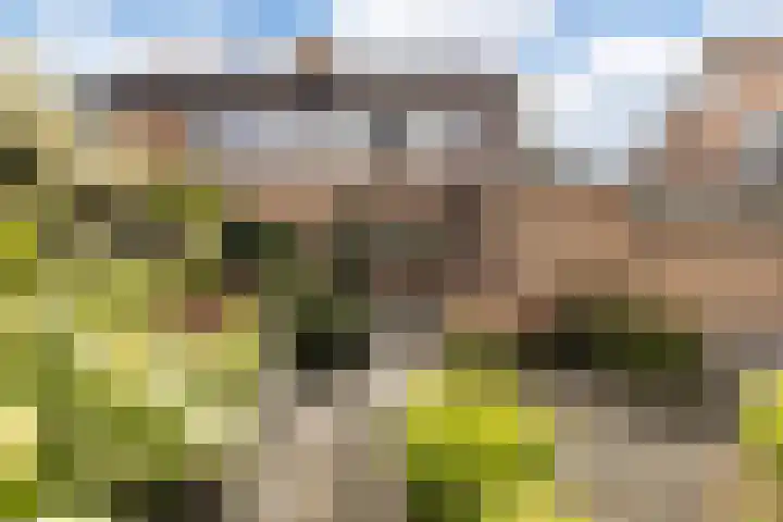 Beethovenlaan 241 Doorwerth thumbnail 11