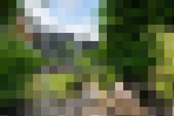 Beethovenlaan 26 Doorwerth thumbnail 56