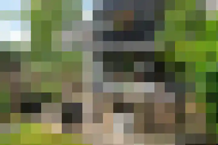 Beethovenlaan 26 Doorwerth thumbnail 57