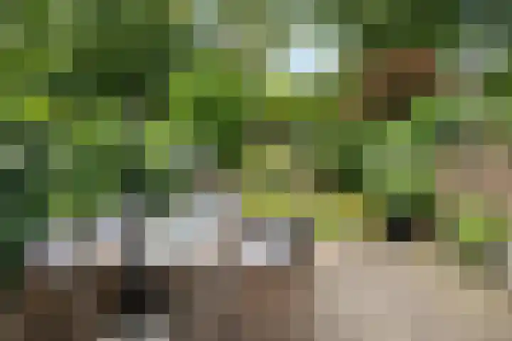 Beethovenlaan 26 Doorwerth thumbnail 58