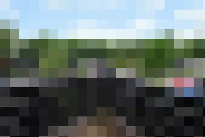 Beethovenlaan 26 Doorwerth thumbnail 59