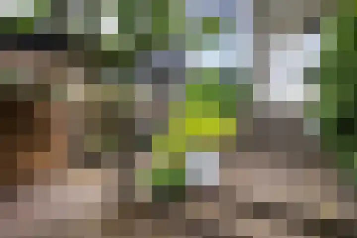 Beethovenlaan 26 Doorwerth thumbnail 6