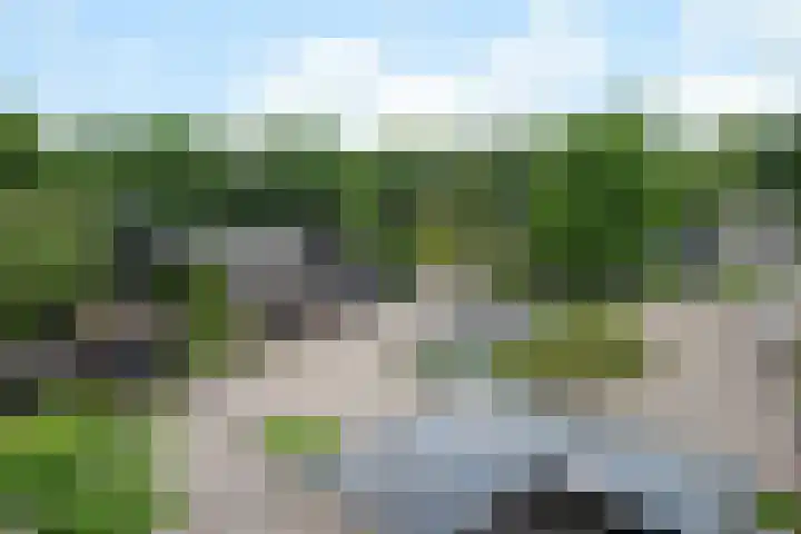 Beethovenlaan 26 Doorwerth thumbnail 60