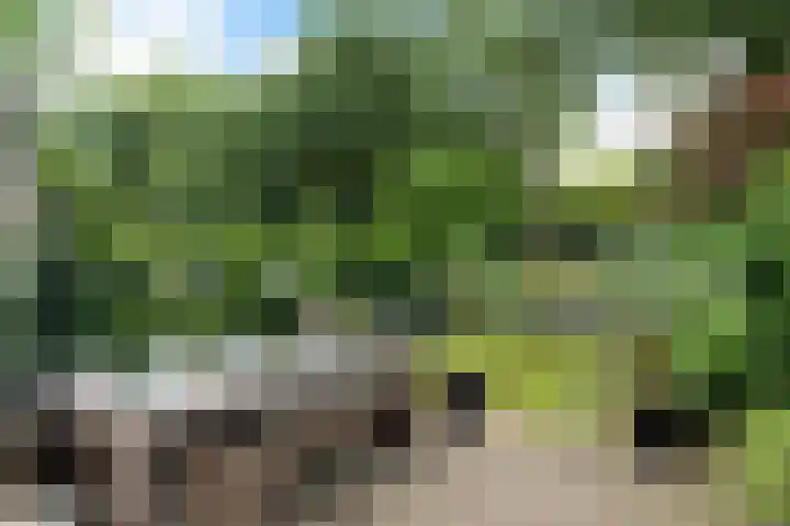 Beethovenlaan 26 Doorwerth thumbnail 61