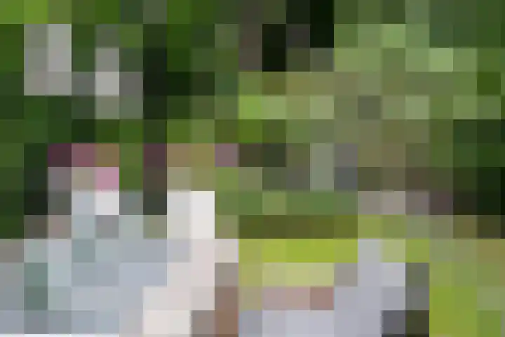 Beethovenlaan 26 Doorwerth thumbnail 62