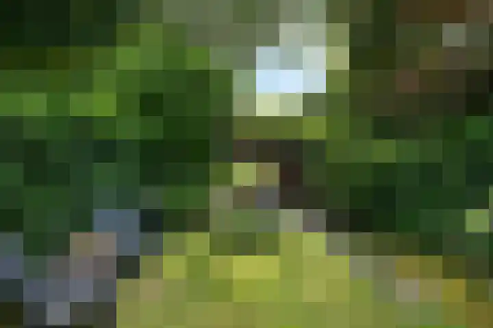 Beethovenlaan 26 Doorwerth thumbnail 63