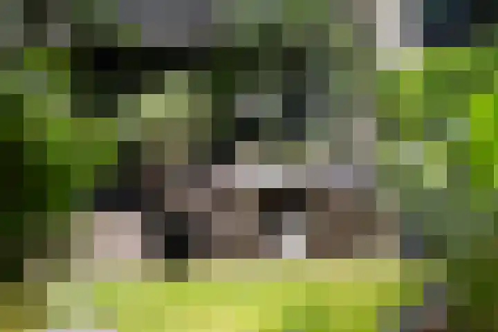 Beethovenlaan 26 Doorwerth thumbnail 64