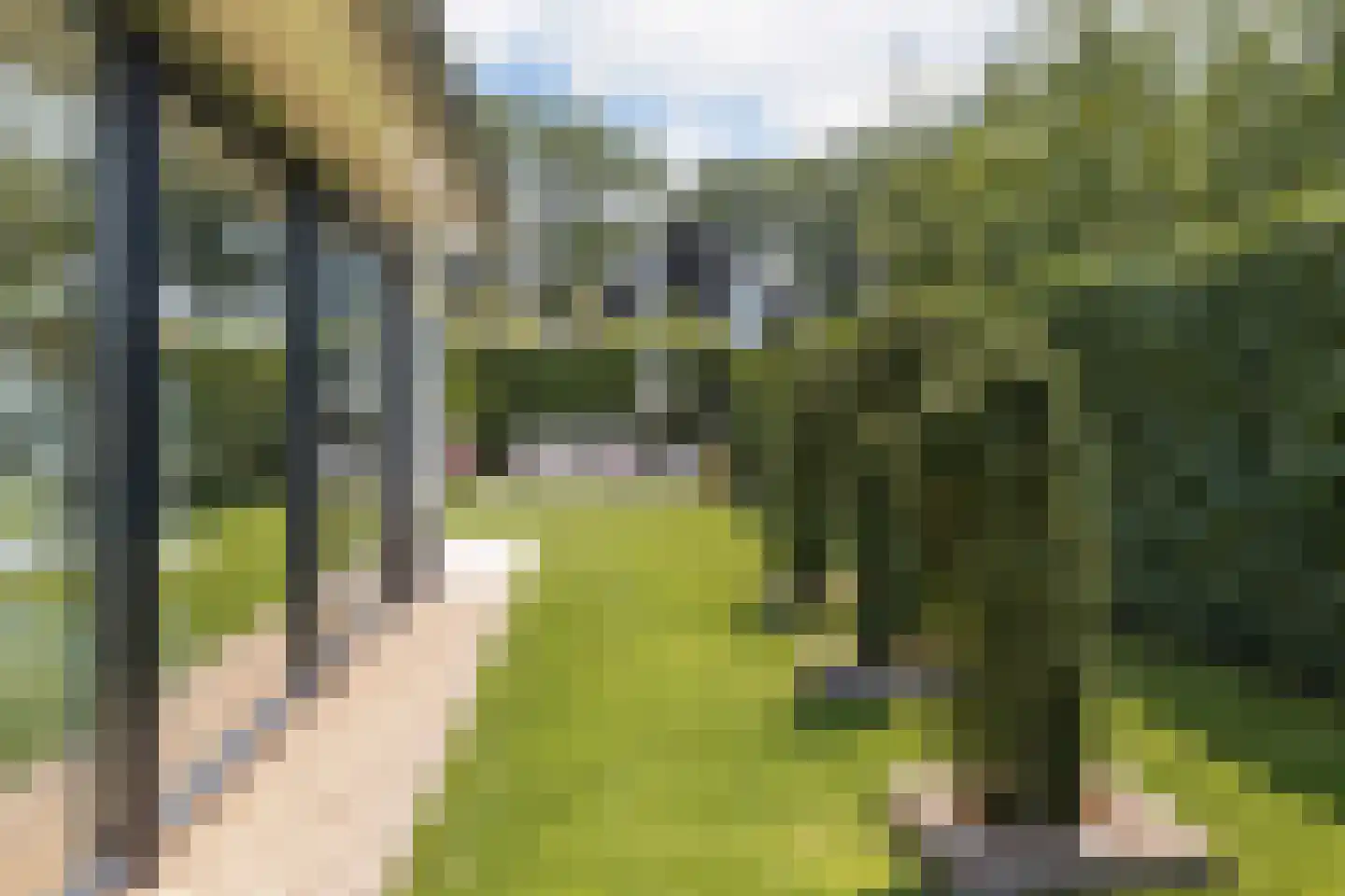 Beethovenlaan 26 Raalte thumbnail 58