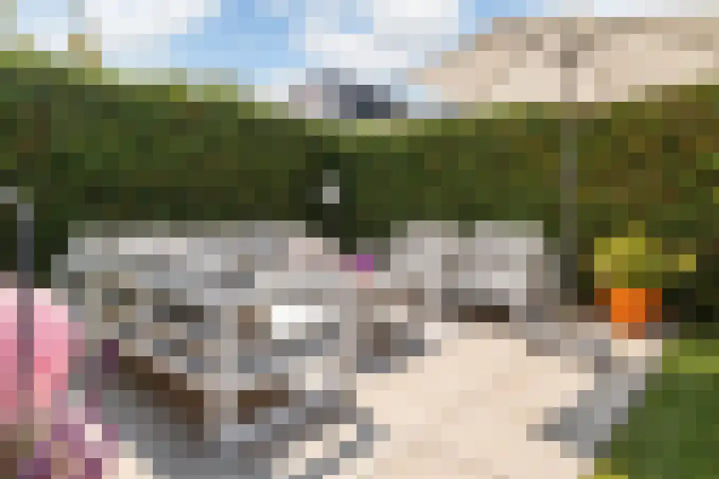 Beethovenlaan 26 Raalte thumbnail 59