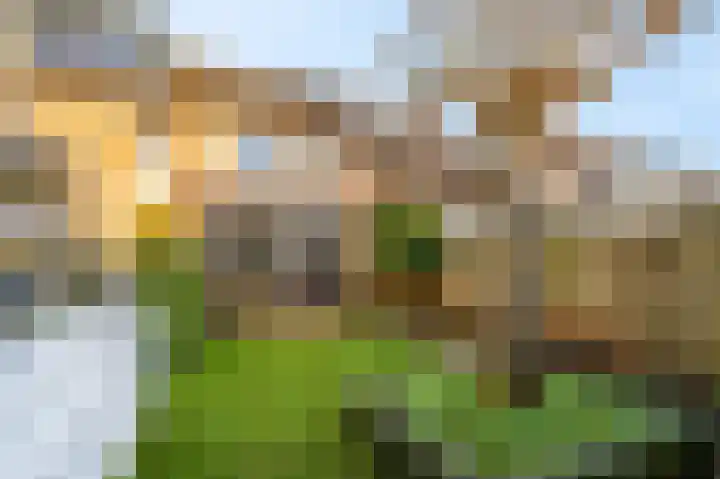 Beethovenlaan 27 Veenendaal thumbnail 37